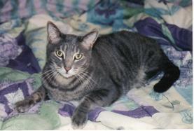 rosco.jpg